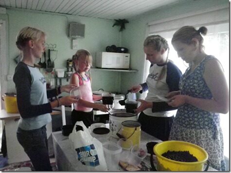 Suvi2011 017 Suvi2011 017